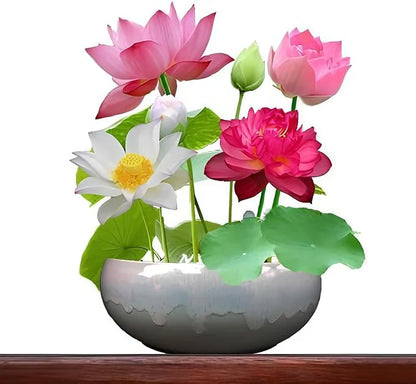 Bonsai Japanese Lotus Seeds (100 Premium Seeds)